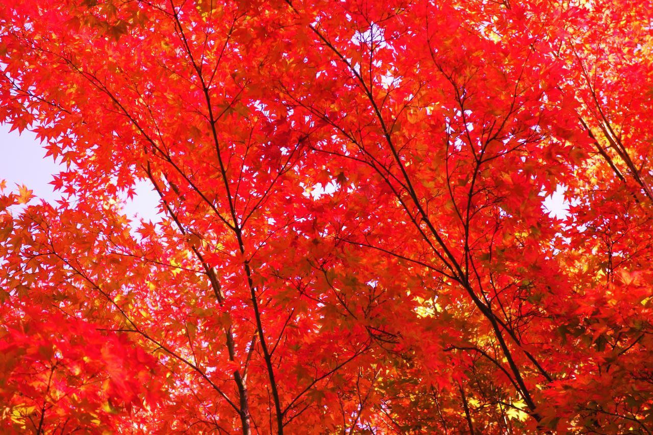Kishutetsudo Karuizawa Hotel Cumagoi Exteriér fotografie